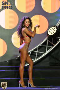 SN PRO EXPO - 2018
