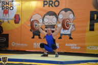 SN PRO EXPO - 2018