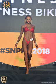 SN PRO EXPO - 2018