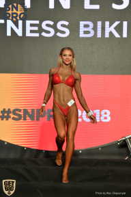 SN PRO EXPO - 2018