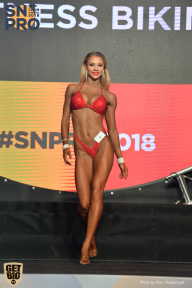 SN PRO EXPO - 2018