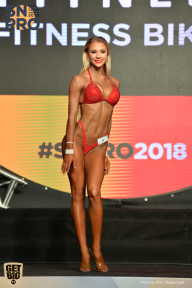 SN PRO EXPO - 2018