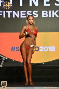 SN PRO EXPO - 2018