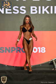 SN PRO EXPO - 2018