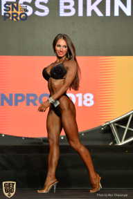 SN PRO EXPO - 2018