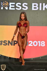 SN PRO EXPO - 2018