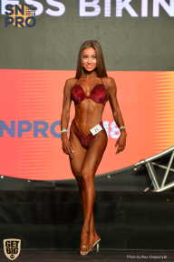 SN PRO EXPO - 2018