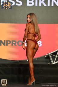 SN PRO EXPO - 2018