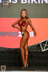 SN PRO EXPO - 2018
