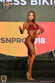 SN PRO EXPO - 2018