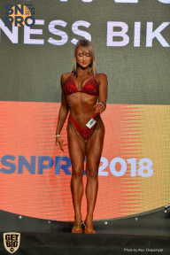 SN PRO EXPO - 2018