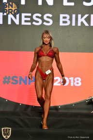 SN PRO EXPO - 2018