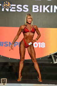 SN PRO EXPO - 2018