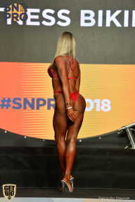 SN PRO EXPO - 2018