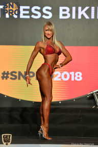 SN PRO EXPO - 2018