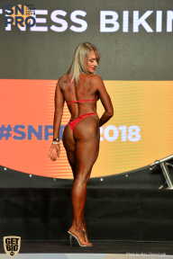 SN PRO EXPO - 2018