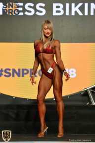 SN PRO EXPO - 2018