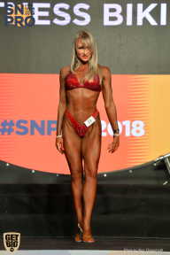 SN PRO EXPO - 2018