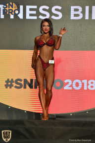SN PRO EXPO - 2018
