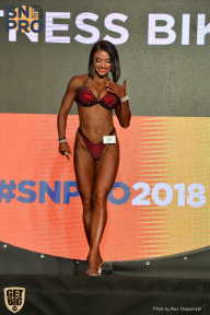 SN PRO EXPO - 2018