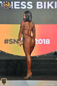 SN PRO EXPO - 2018