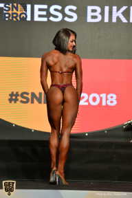 SN PRO EXPO - 2018