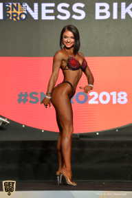 SN PRO EXPO - 2018