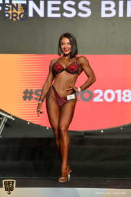 SN PRO EXPO - 2018