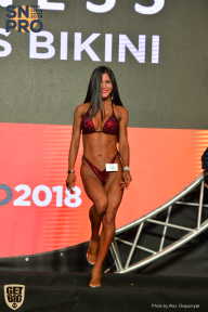 SN PRO EXPO - 2018