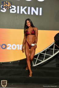 SN PRO EXPO - 2018