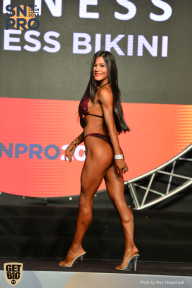 SN PRO EXPO - 2018