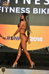 SN PRO EXPO - 2018