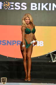 SN PRO EXPO - 2018