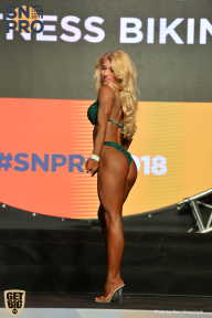 SN PRO EXPO - 2018