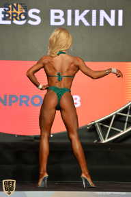 SN PRO EXPO - 2018