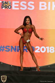 SN PRO EXPO - 2018