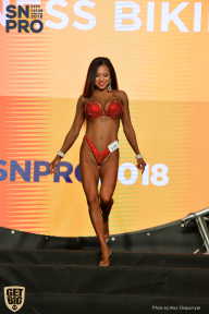 SN PRO EXPO - 2018
