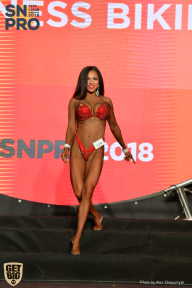 SN PRO EXPO - 2018