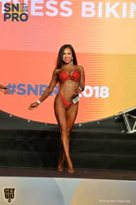 SN PRO EXPO - 2018