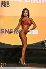 SN PRO EXPO - 2018