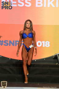 SN PRO EXPO - 2018