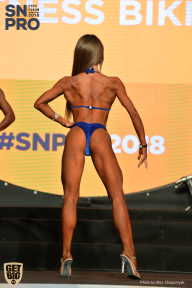 SN PRO EXPO - 2018