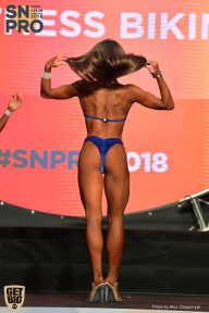 SN PRO EXPO - 2018