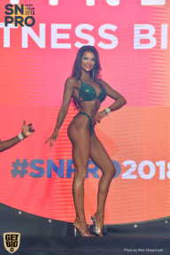 SN PRO EXPO - 2018
