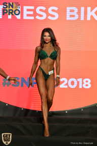 SN PRO EXPO - 2018
