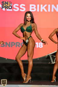 SN PRO EXPO - 2018
