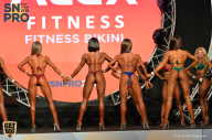 SN PRO EXPO - 2018