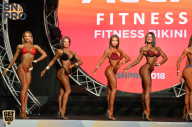 SN PRO EXPO - 2018