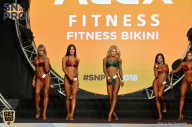 SN PRO EXPO - 2018