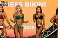 SN PRO EXPO - 2018